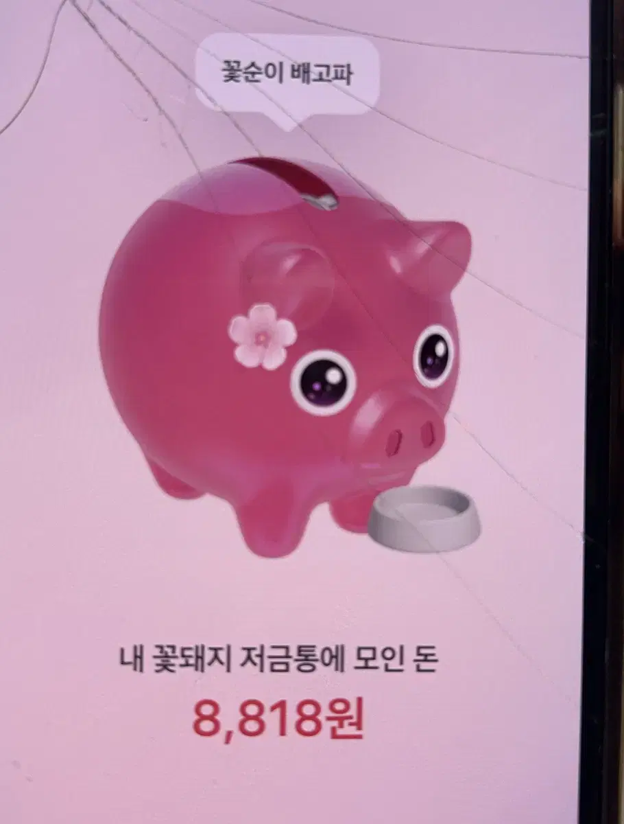 친구 꽃돼지 살려주실 분 구해요 ..